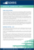 Newsletter 2